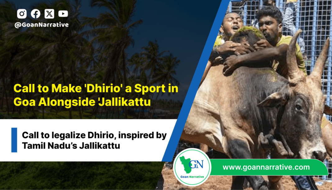 Call to Make 'Dhirio' a Sport in Goa Alongside 'Jallikattu