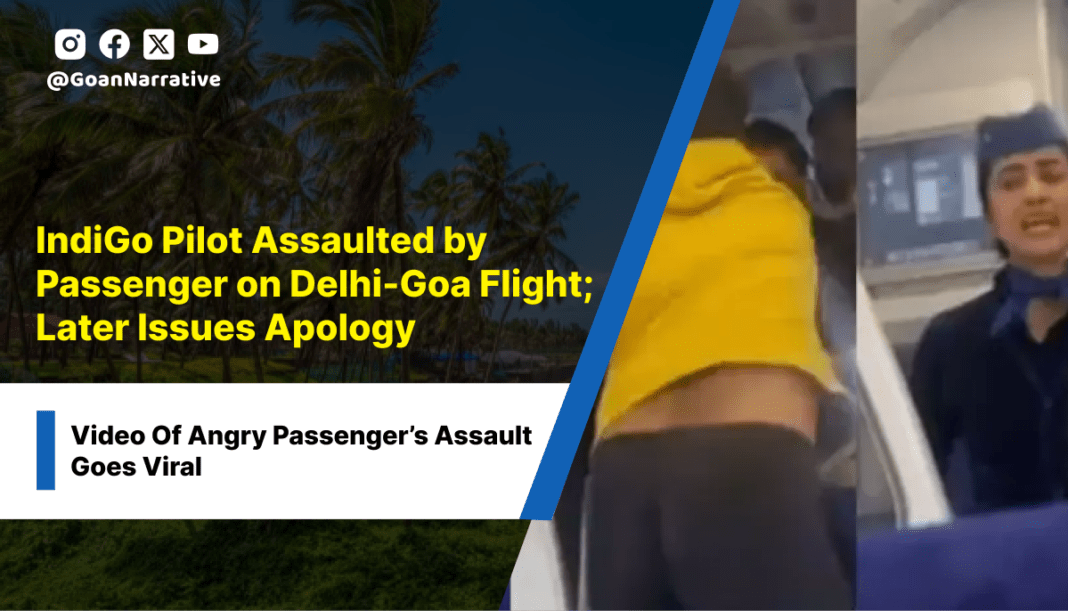 IndiGo Pilot Assaulted by Passenger on Delhi-Goa Flight; Passenger Issues Apology