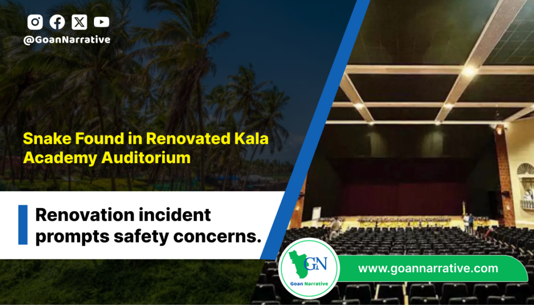 Snake Found in Renovated Kala Academy Auditorium
