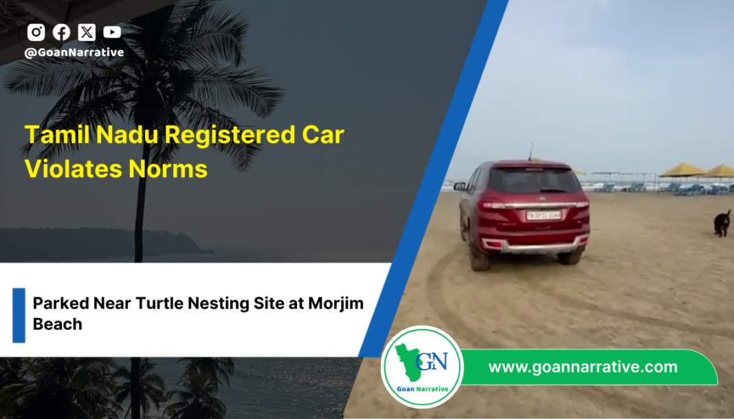 7 Tamil Nadu Registered Car Violates Norms, Parked Near Turtle Nesting Site at Morjim Beach