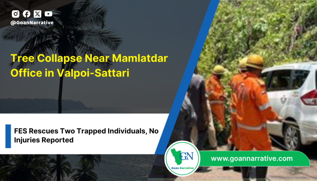 9 Tree Collapse Near Mamlatdar Office in Valpoi-Sattari: FES Rescues Two Trapped Individuals, No Injuries Reported