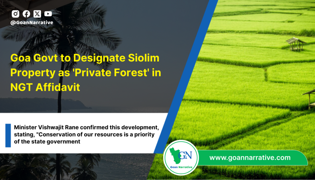 Goa Govt to Designate Siolim Property as 'Private Forest' in NGT Affidavit