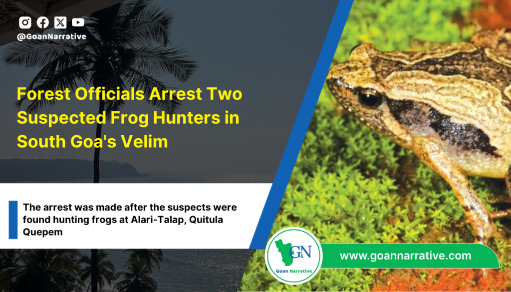 Forest Officials Arrest Two Suspected Frog Hunters in South Goa's Velim