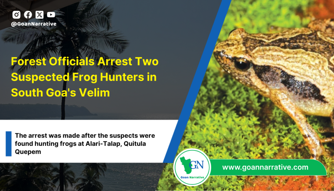 2 Forest Officials Arrest Two Suspected Frog Hunters in South Goa's Velim