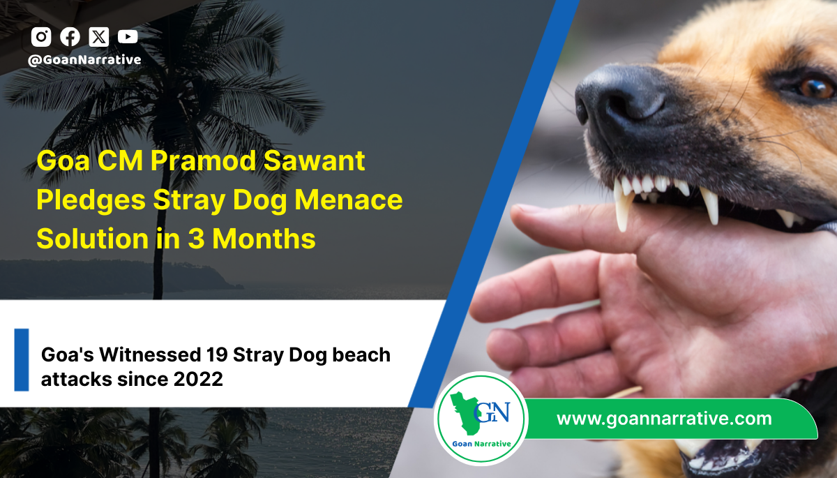 Goa CM Pramod Sawant Pledges Stray Dog Menace Solution in 3 Months ...