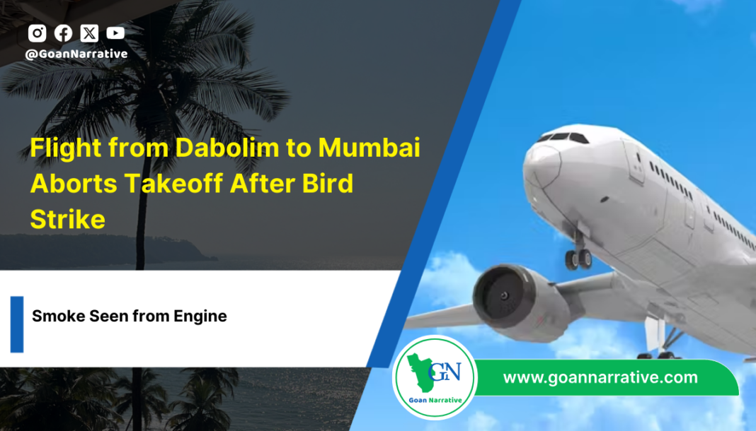 1 Flight from Dabolim to Mumbai Aborts Takeoff After Bird Strike, Smoke Seen from Engine