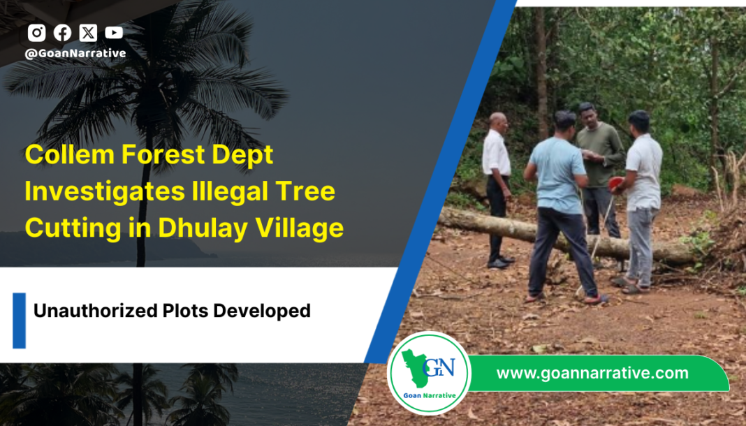 3 Collem Forest Dept Investigates Illegal Tree Cutting in Dhulay Village, Unauthorized Plots Developed