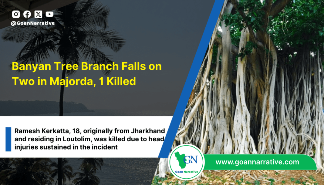 4 Banyan Tree Branch Falls on Two in Majorda, One Dead