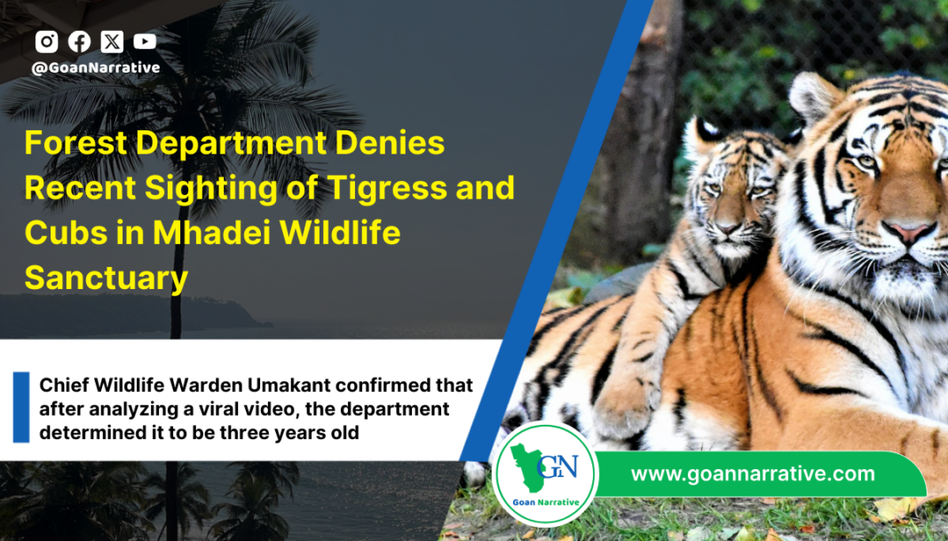 Forest Department Denies Recent Sighting of Tigress and Cubs in Mhadei Wildlife Sanctuary