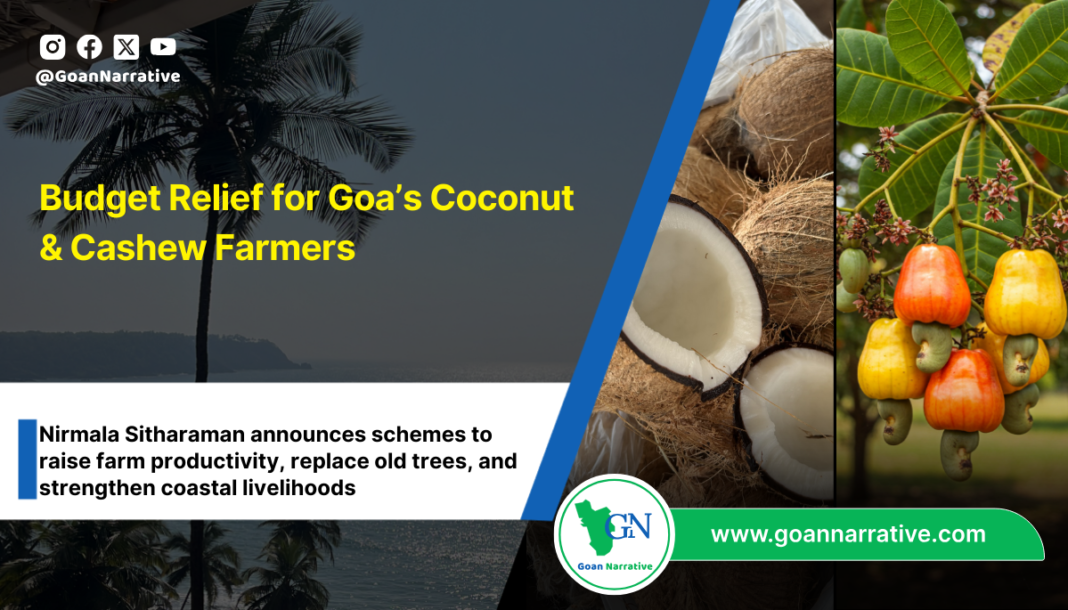 Budget Relief for Goa’s Coconut & Cashew Farmers