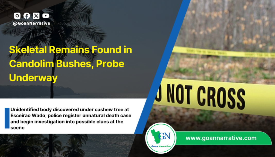 Skeletal Remains Found in Candolim Bushes, Probe Underway
