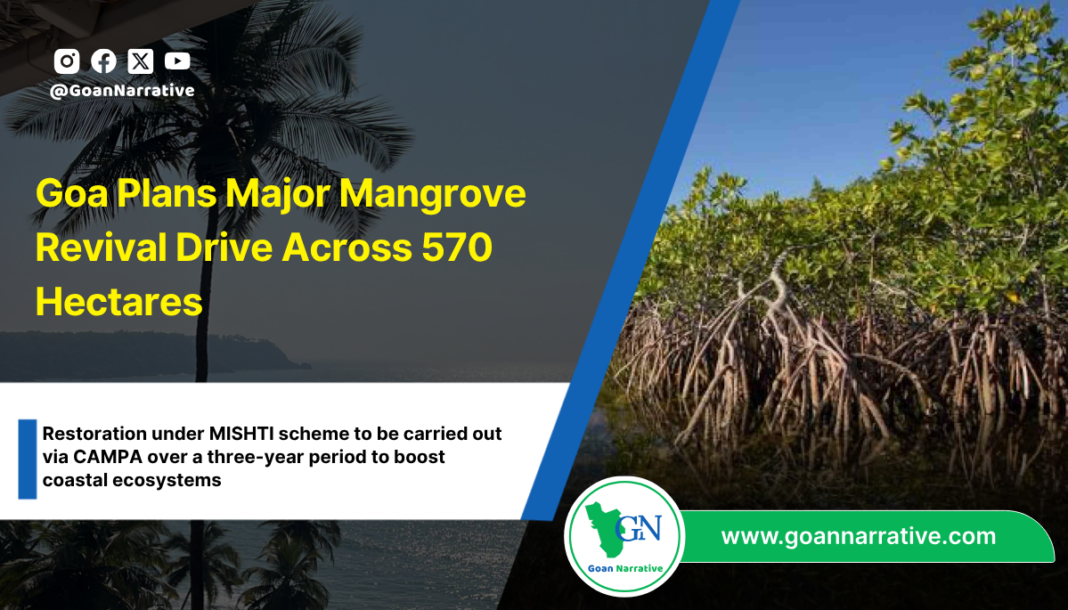 Goa Plans Major Mangrove Revival Drive Across 570 Hectares