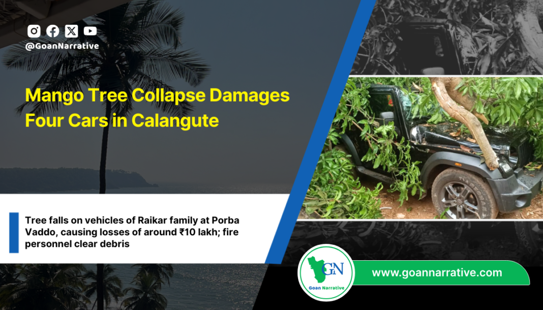 Mango Tree Collapse Damages Four Cars in Calangute