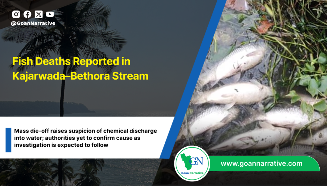 Fish Deaths Reported in Kajarwada–Bethora Stream