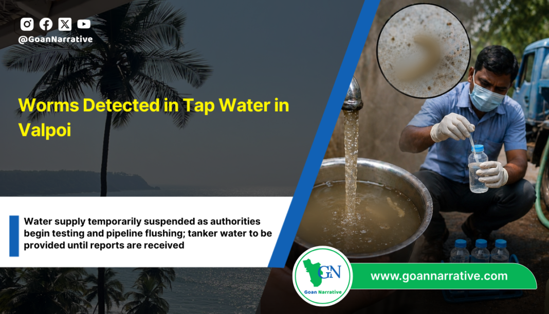 Worms Detected in Tap Water in Valpoi