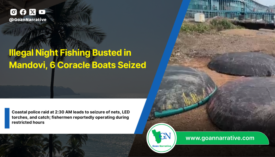Illegal Night Fishing Busted in Mandovi, 6 Coracle Boats Seized
