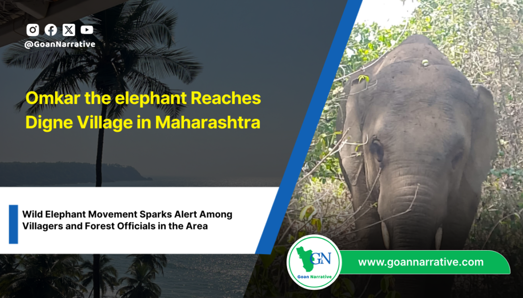 Omkar the elephant Reaches Digne Village in Maharashtra