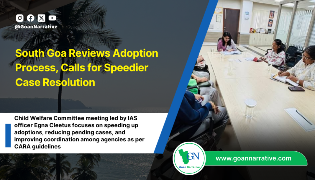 South Goa Reviews Adoption Process, Calls for Speedier Case Resolution