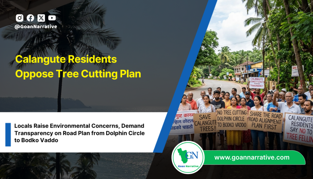 Calangute Residents Oppose Tree Cutting Plan