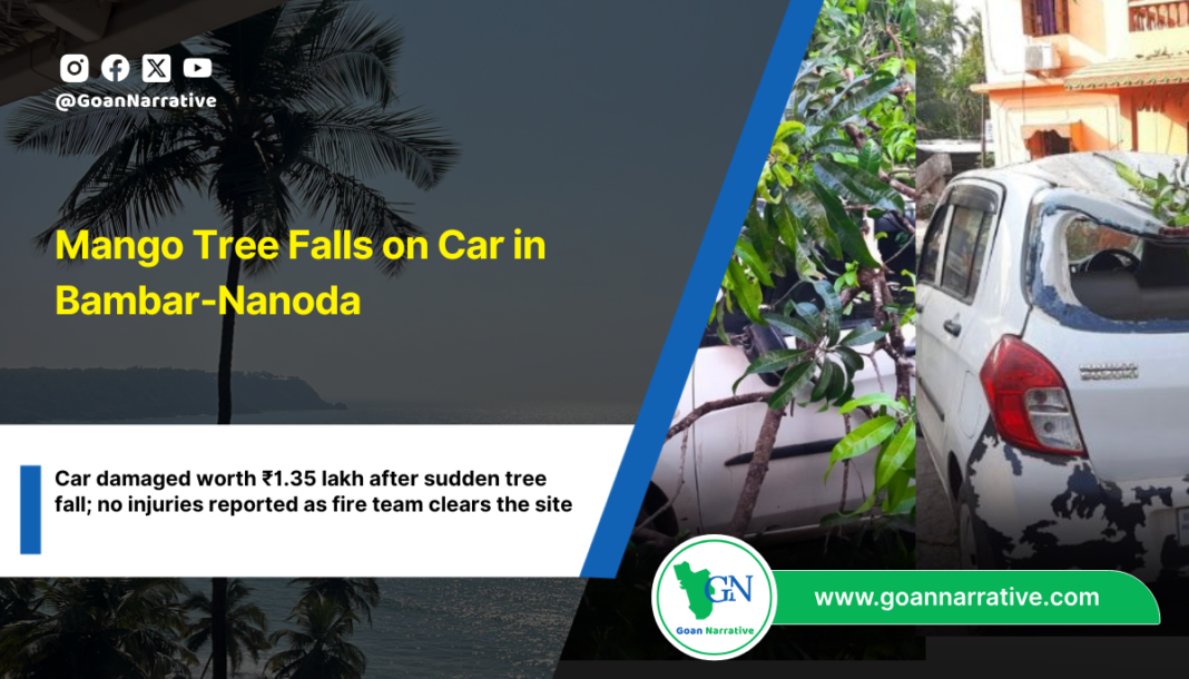 Mango Tree Falls on Car in Bambar-Nanoda