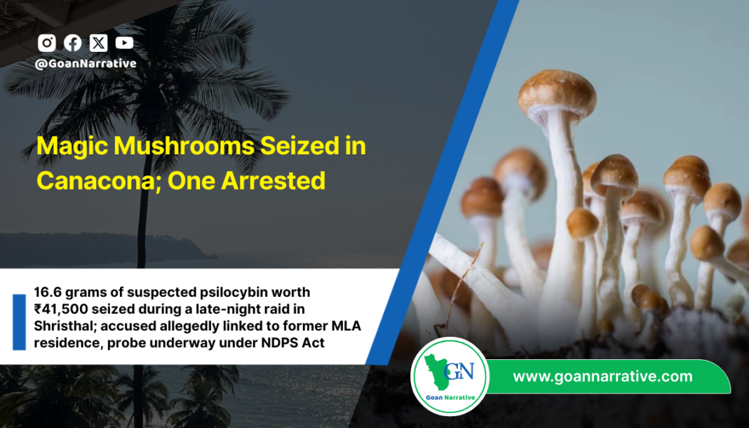 Magic Mushrooms Seized in Canacona; One Arrested