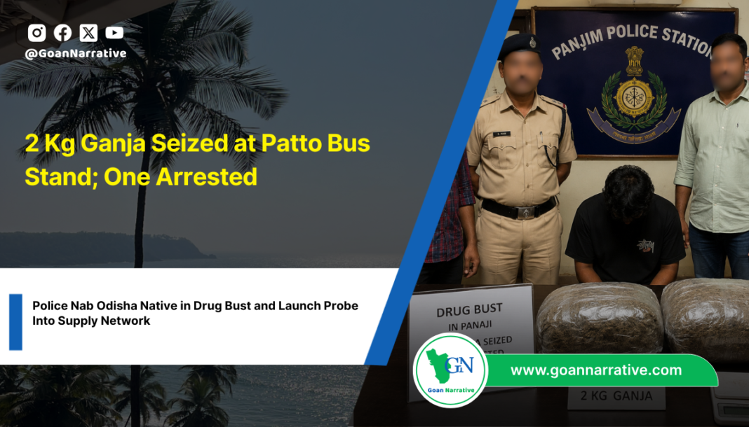 2 Kg Ganja Seized at Patto Bus Stand; One Arrested
