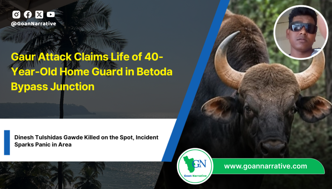 Gaur Attack Claims Life of 40-Year-Old Home Guard in Betoda Bypass Junction