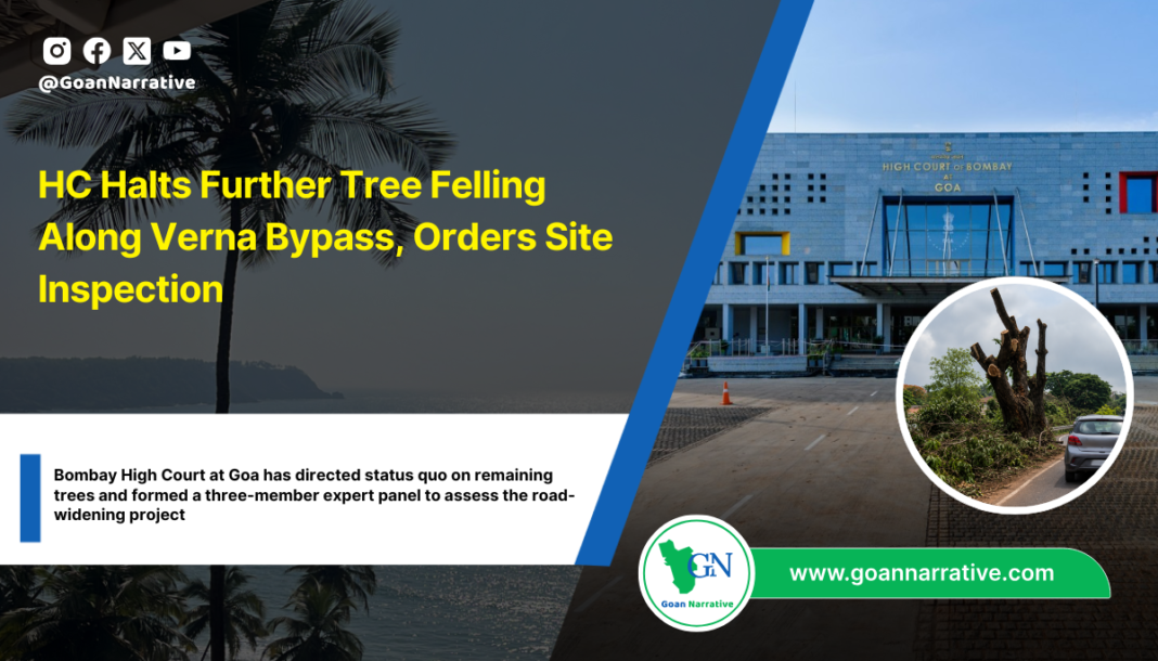 HC Halts Further Tree Felling Along Verna Bypass, Orders Site Inspection