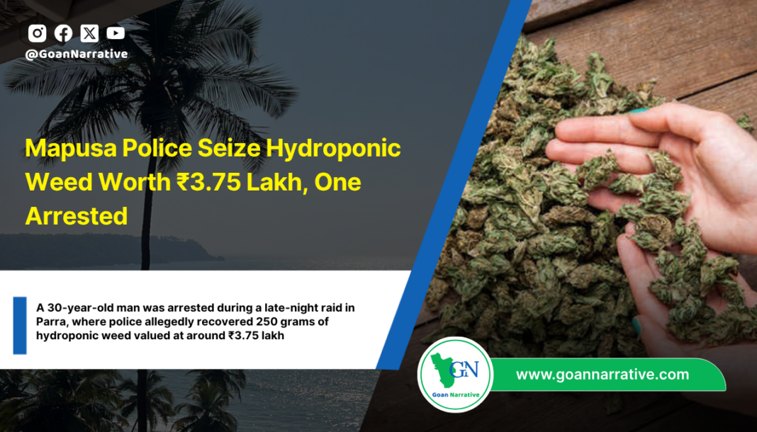 Mapusa Police Seize Hydroponic Weed Worth ₹3.75 Lakh, One Arrested
