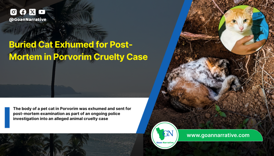Buried Cat Exhumed for Post-Mortem in Porvorim Cruelty Case