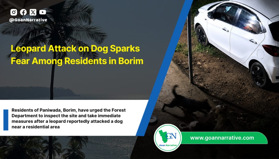 Leopard Attack on Dog Sparks Fear Among Residents in Borim