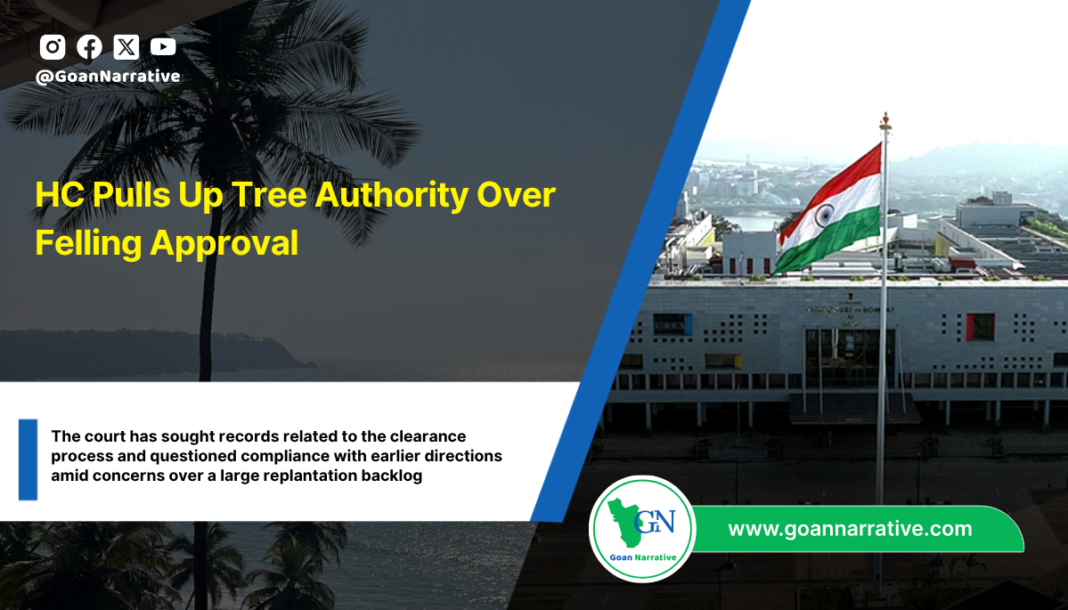 HC Pulls Up Tree Authority Over Felling Approval