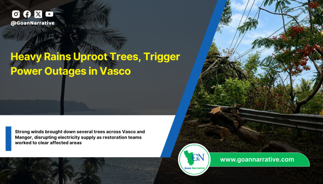 Heavy Rains Uproot Trees, Trigger Power Outages in Vasco