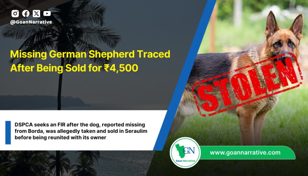 Missing German Shepherd Traced After Being Sold for ₹4,500