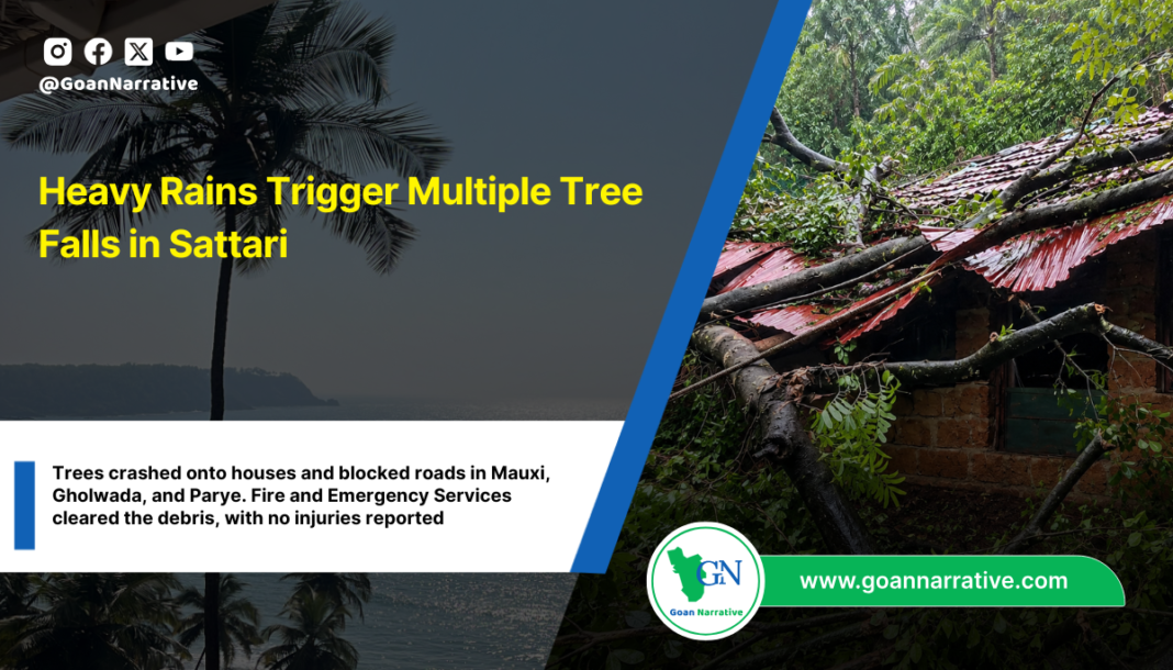 Heavy Rains Trigger Multiple Tree Falls in Sattari