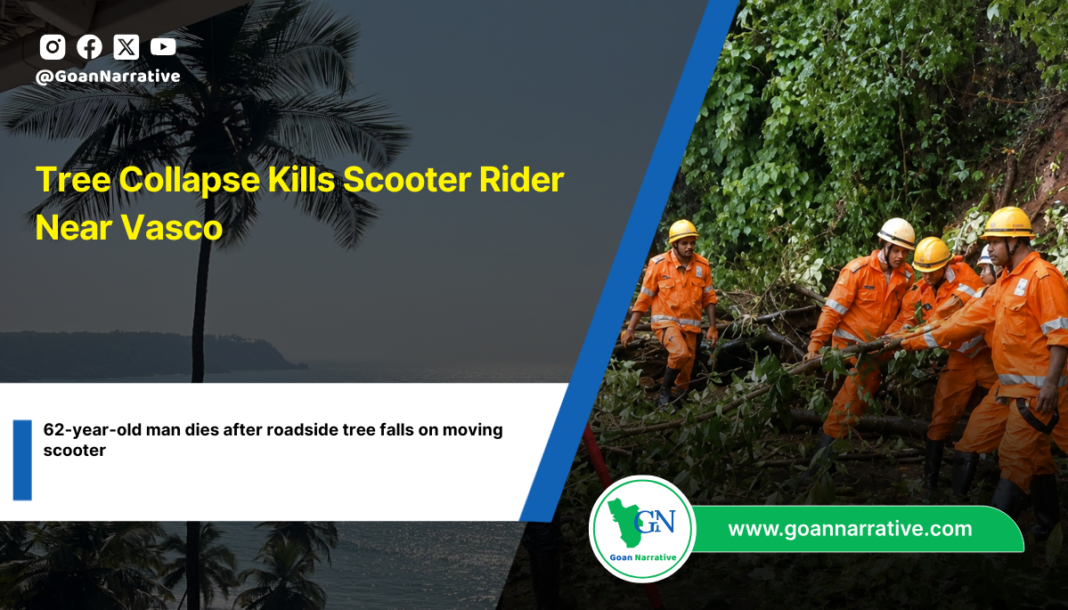 Tree Collapse Kills Scooter Rider Near Vasco