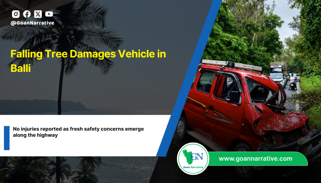 Falling Tree Damages Vehicle in Balli