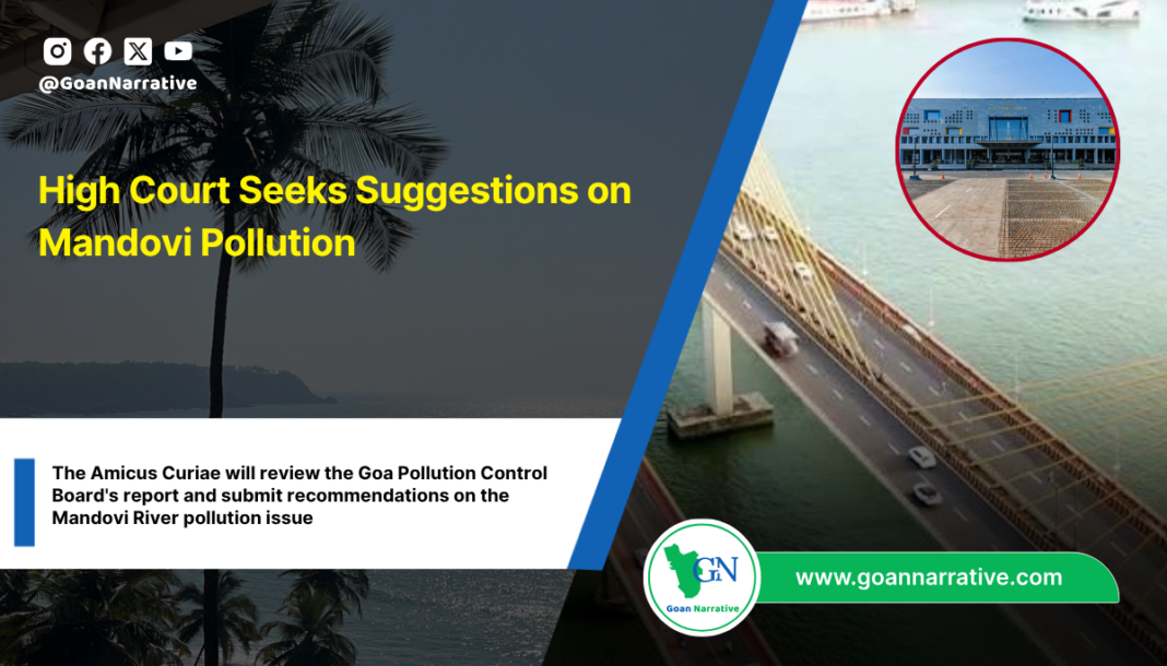 High Court Seeks Suggestions on Mandovi Pollution