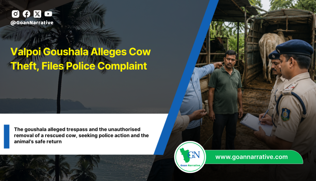 Valpoi Goushala Alleges Cow Theft, Files Police Complaint