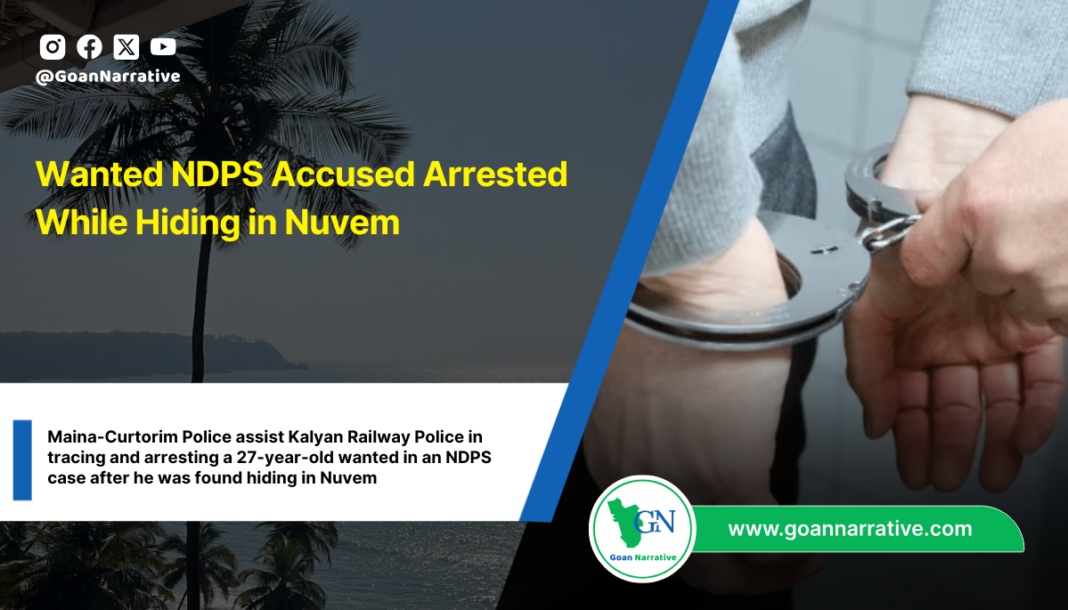 Wanted NDPS Accused Arrested While Hiding in Nuvem