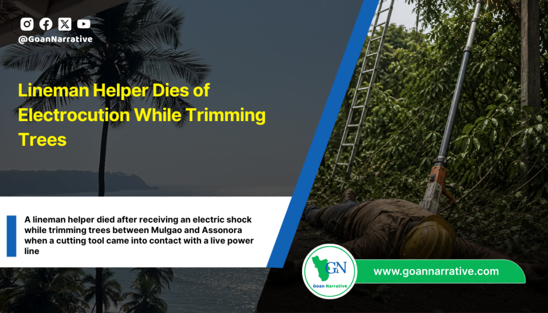 Lineman Helper Dies of Electrocution While Trimming Trees