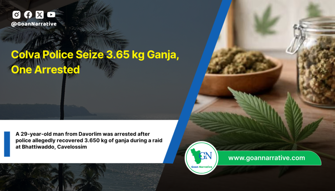 Colva Police Seize 3.65 kg Ganja, One Arrested