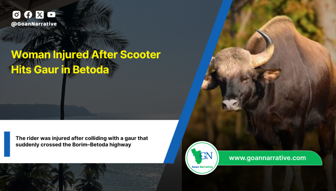 Woman Injured After Scooter Hits Gaur in Betoda