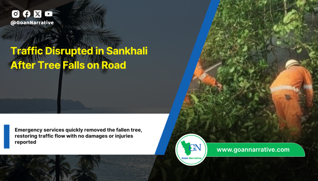 Traffic Disrupted in Sankhali After Tree Falls on Road