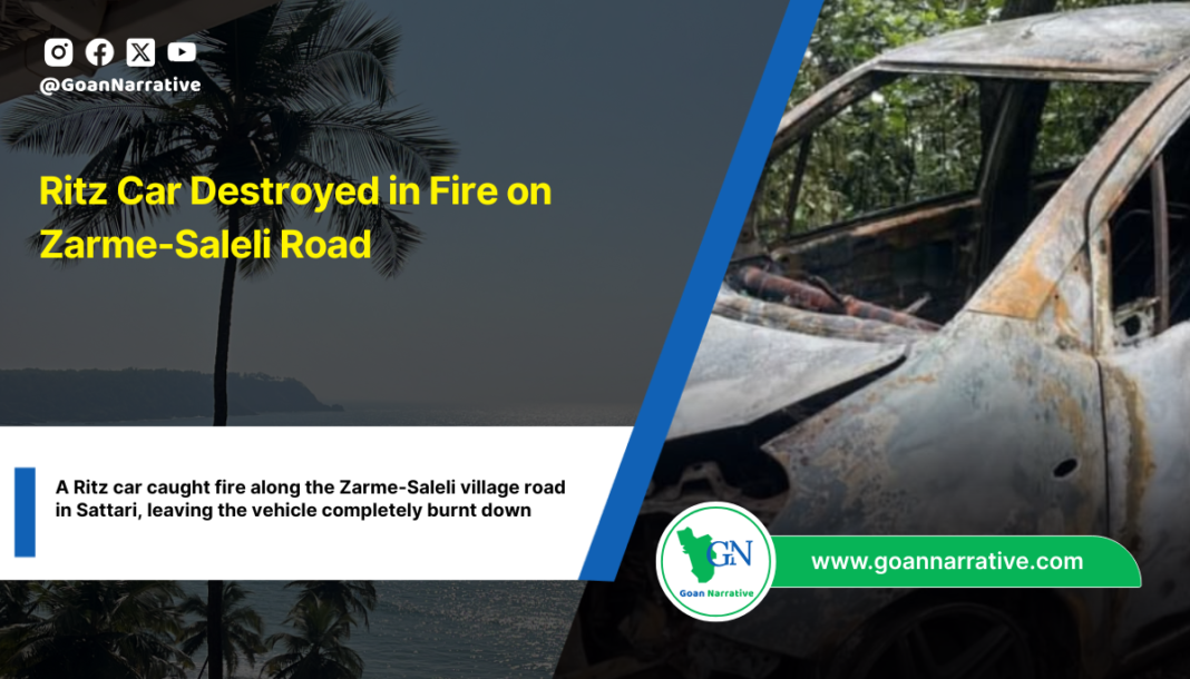 Ritz Car Destroyed in Fire on Zarme-Saleli Road