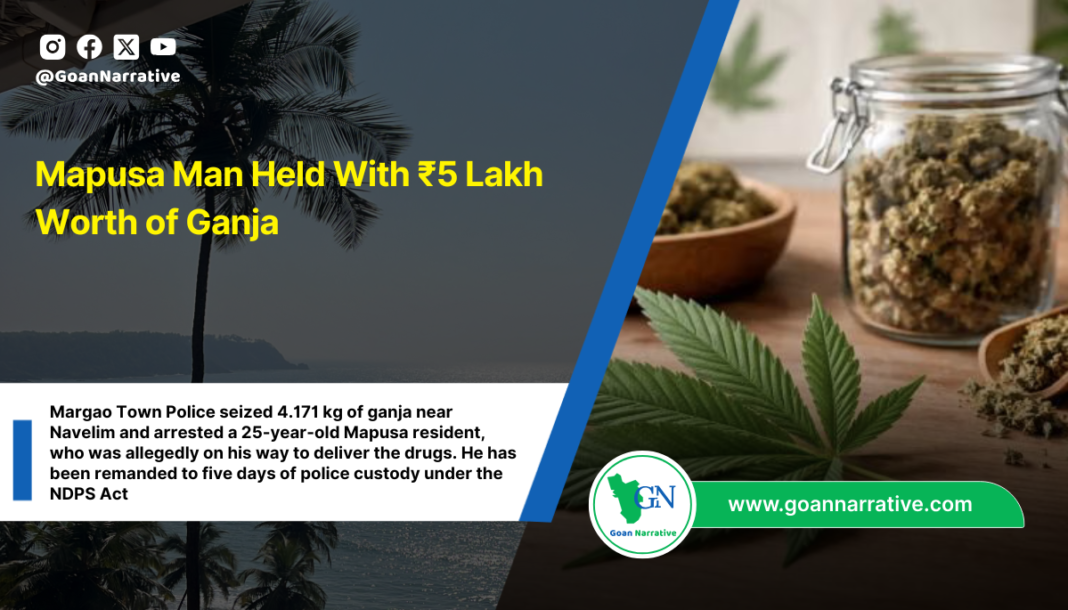 Mapusa Man Held With ₹5 Lakh Worth of Ganja