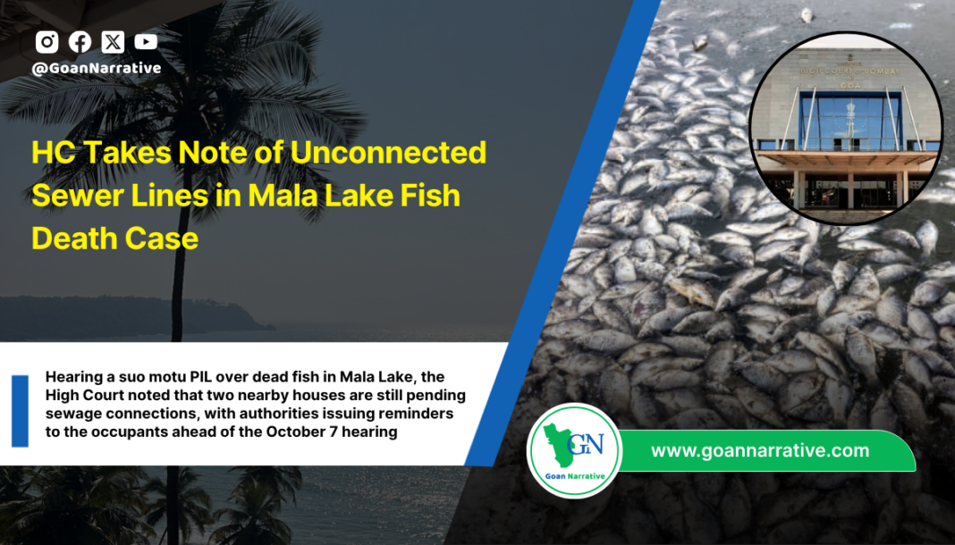 HC Takes Note of Unconnected Sewer Lines in Mala Lake Fish Death Case