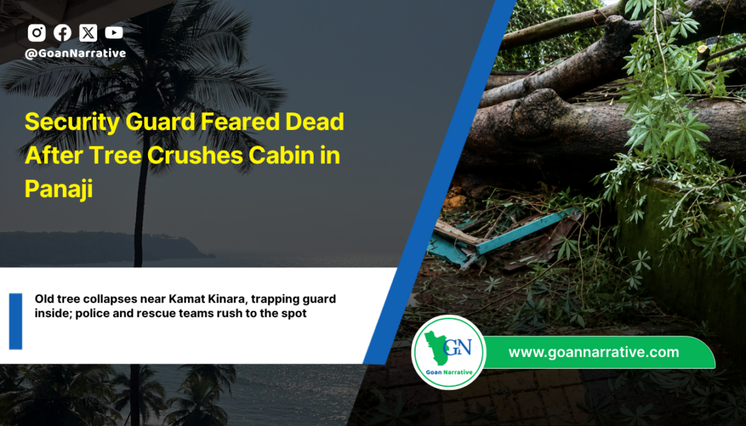 Security Guard Feared Dead After Tree Crushes Cabin in Panaji